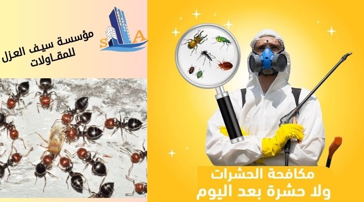 شركة مكافحة الحشرات بالرياض
