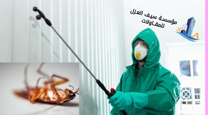 شركة مكافحة الحشرات بالرياض