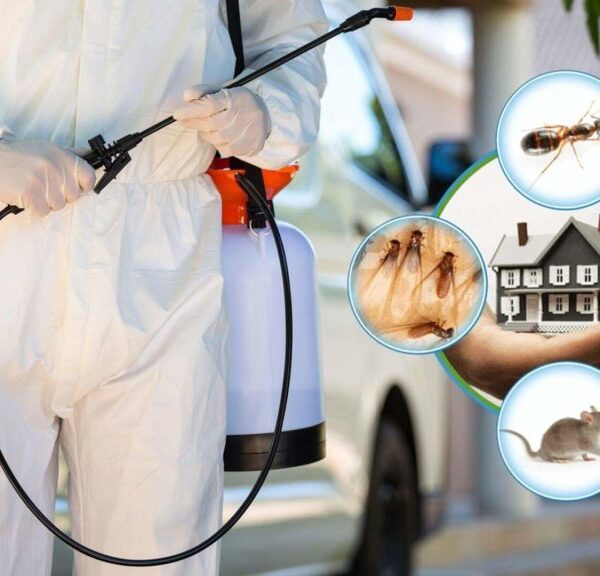 مكافحة حشرات